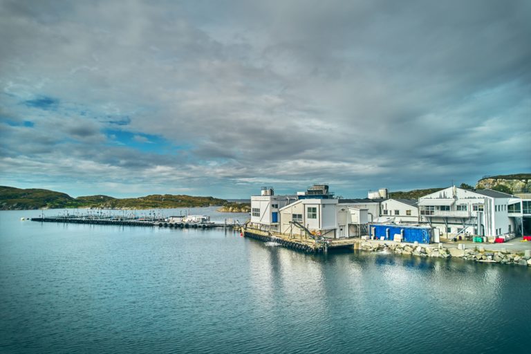 Former Mowi processing plant now operational again after summer refit