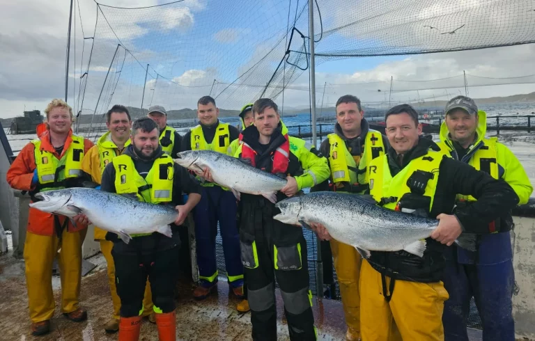 Mowi Scotland records lowest mortality in eight years: What’s the secret?