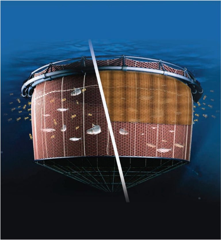 Lice control: Mowi and Cermaq amongst producers trialling anti-lice skirts in Chile