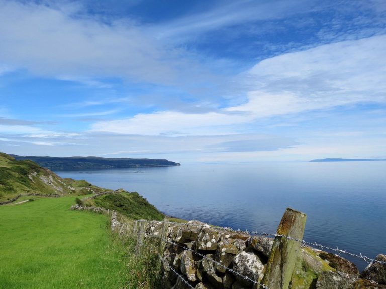Have 5,000 salmon escaped in Northern Ireland? Here’s what we know