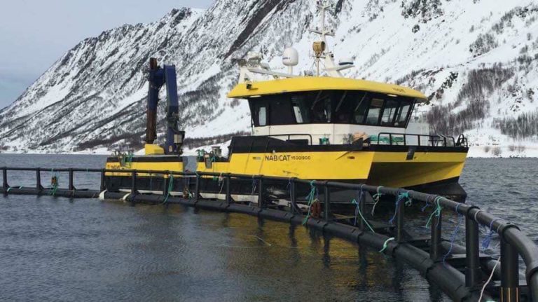 Attempt to recover sunken workboat fails