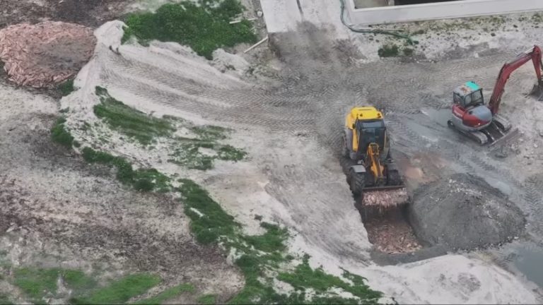 Campaigners file criminal complaint over alleged illegal fish burial