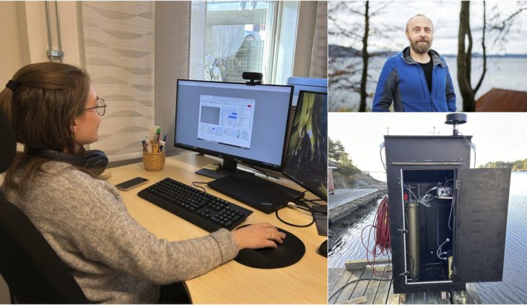 Following discovery of 2019’s ‘secret killer,’ new tech aims to save millions of fish