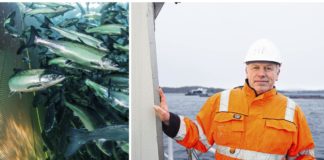 Trace levels of new antifouling agent found in farmed salmon