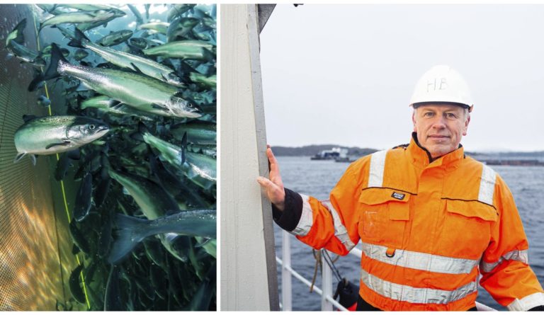 Trace levels of new antifouling agent found in farmed salmon