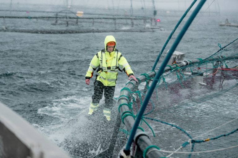 Måsøval proposes internal reorganisation and triangular merger