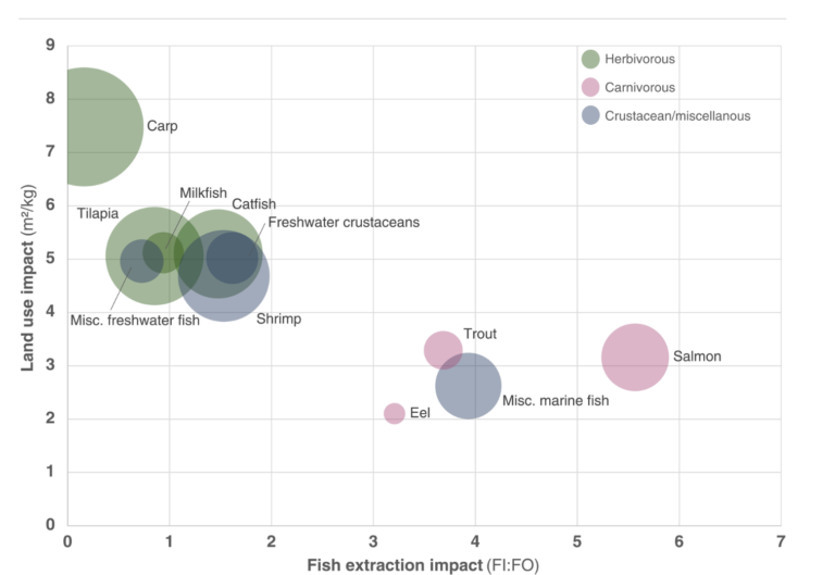 Revealed: Aquaculture’s wild fish use far higher than previously estimated