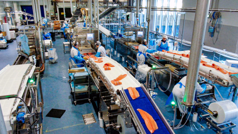 Flat prices mark salmon market as buyers and farmers wait it out