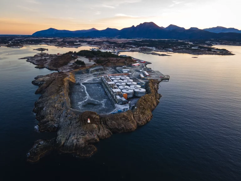 Fish handling tech supplier secures contract with Salmon Evolution