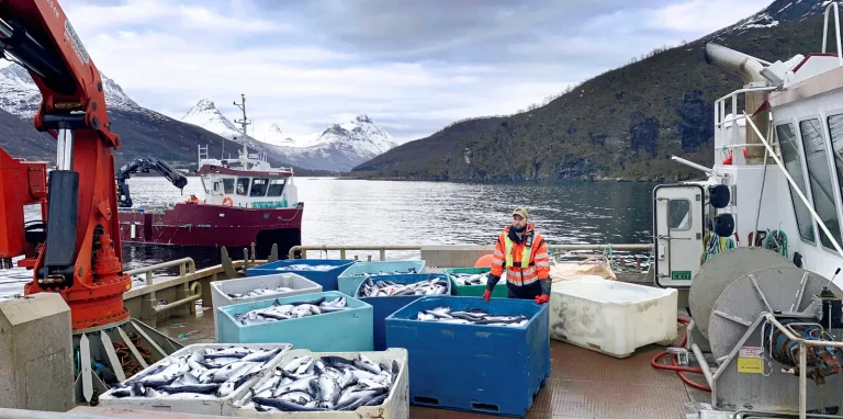 Secret killer behind 2019 mortality event in which 7 million fish died is finally unveiled