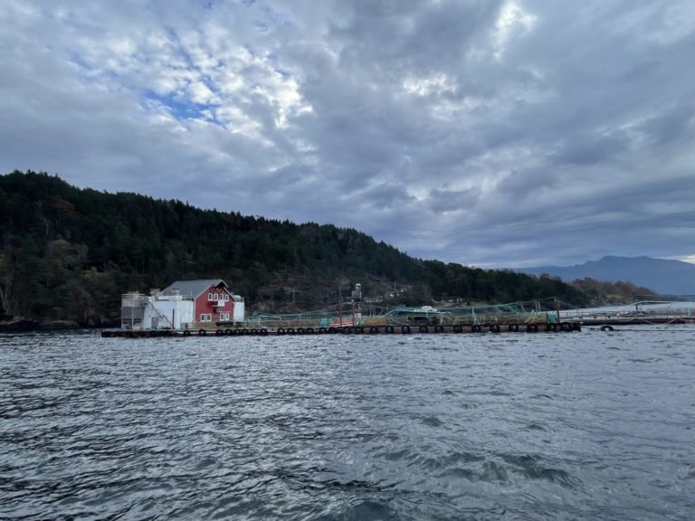 Holiday lull: Catholic observances drive down salmon demand and prices