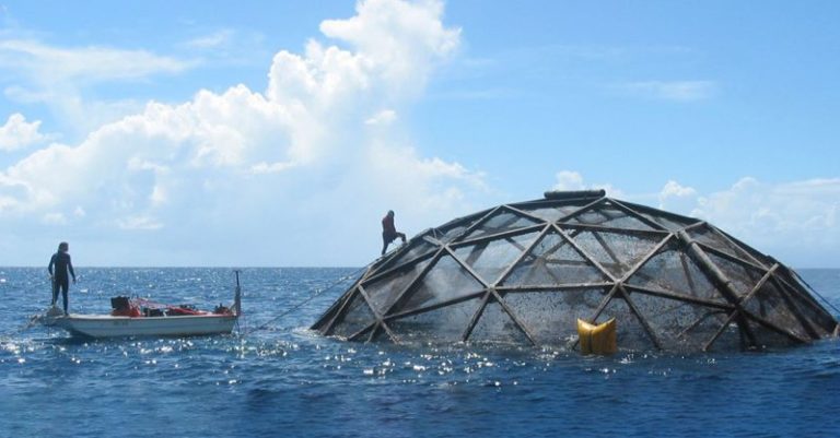 Campaign to boost US aquaculture production takes aim at Congress
