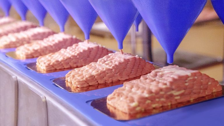 Revo Foods names partner on €2.2 million EU project to develop 3D-printed salmon