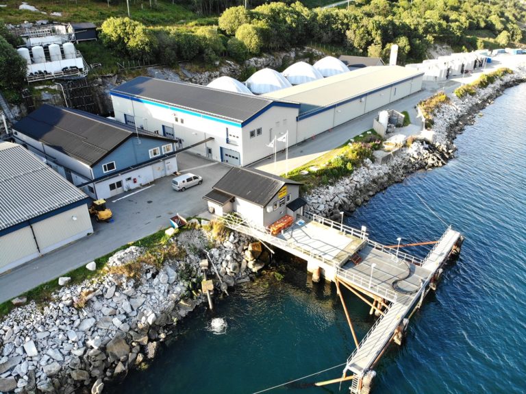 Mowi reports escape of 65,000 smolt following delivery incident