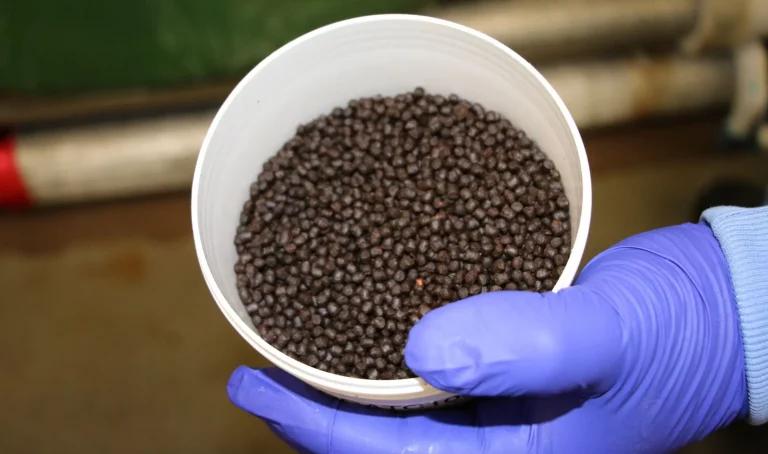 Unstable feed supply could constrain aquaculture growth warns study