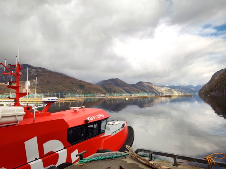 Tragic diving accident claims life during routine operation