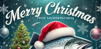 Happy holidays from SalmonBusiness: Thank you for a great year