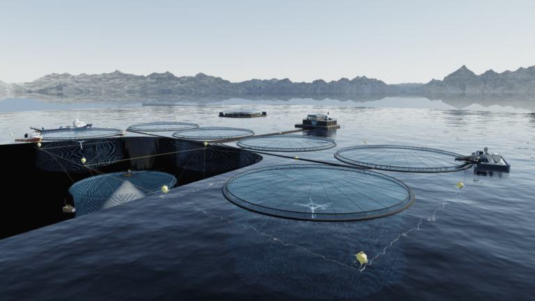 Smir signs contract with Mowi-backed producer for submersible cage systems