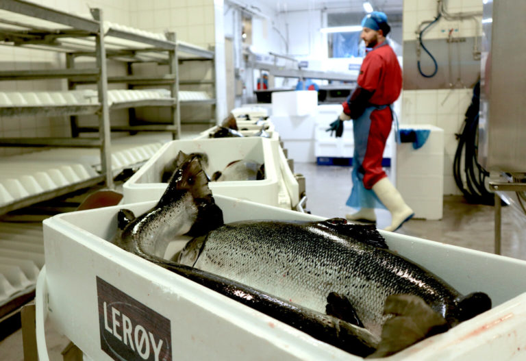Prices: How much fresh salmon will cost this Christmas