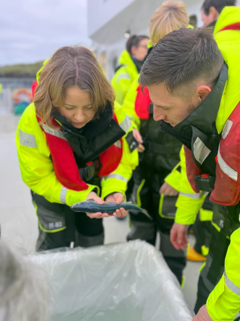 Antibiotic use in Scottish salmon sector falls to record low