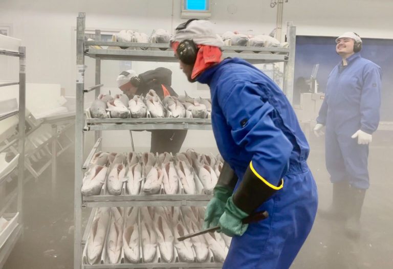 Chinese New Year leaves Norway’s salmon market in chaos