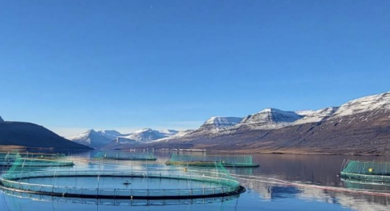 Contested transaction sparks civil war in aquaculture company