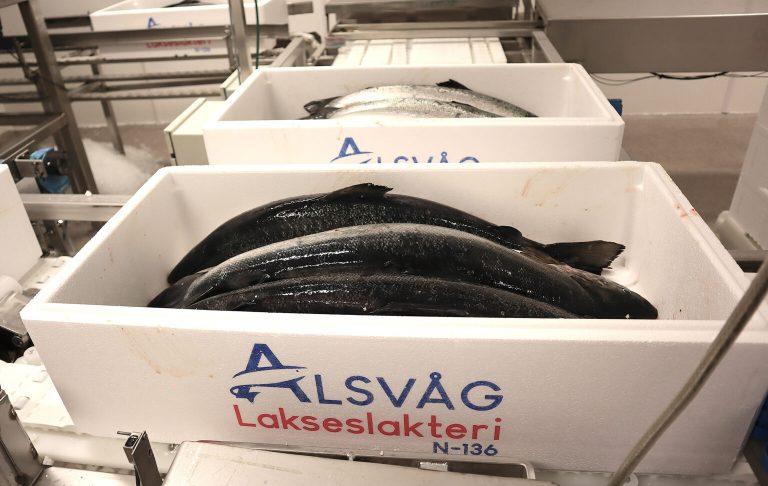 Improved fish health leads to fewer production fish, shaking up the market