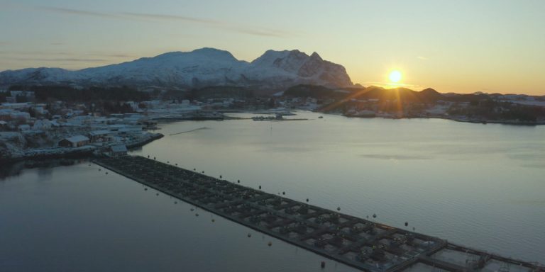 Feed producer acquires leading aquaculture research centre