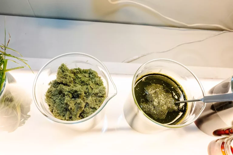 From fields to fjords: Can grass replace soy in salmon feed?