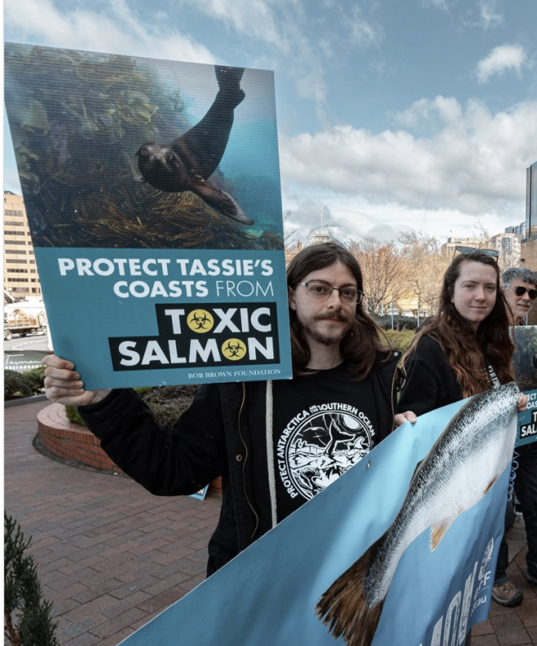 ‘A shameless sellout’: Industry responds to pause on salmon farming growth