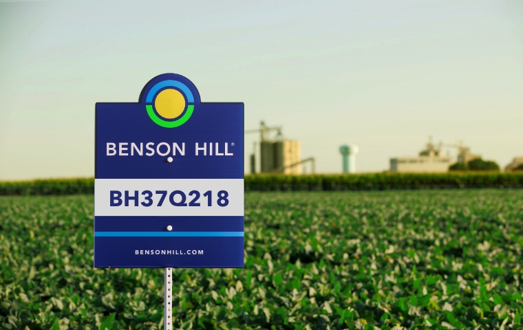 ‘Green’ soy supplier to BioMar files for bankruptcy protection