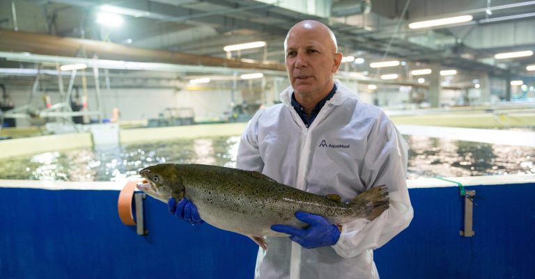 Atlantic Sapphire founder is wrong about RAS, says AquaMaof boss