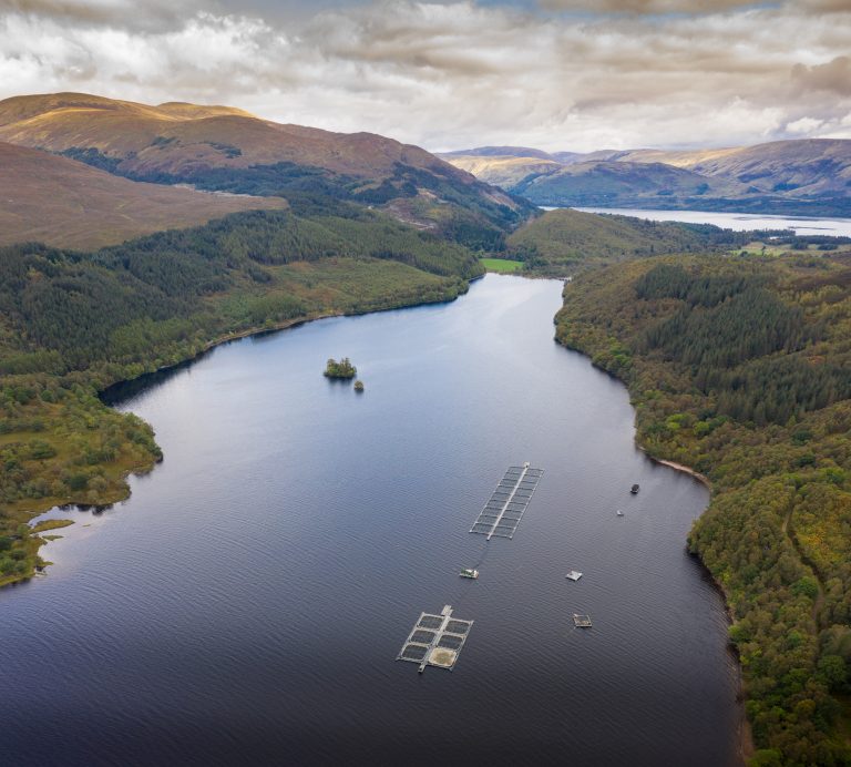Is salmon farming damaging Scotland’s freshwater lochs? This 37-year study has answers