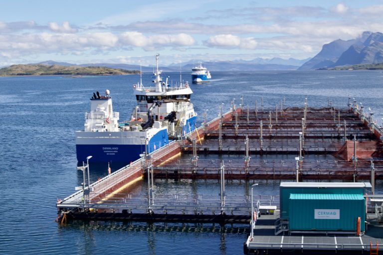 Traders reach for the cognac and cigars as Easter rally lifts salmon prices to NOK 90/kg