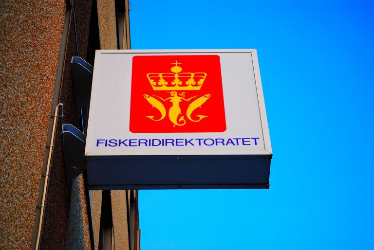 Mowi escape: 20 rivers. 1,282 fish found. 26,000 still missing