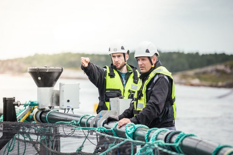 AI aquaculture firm OptoScale lands US investor to drive next growth phase