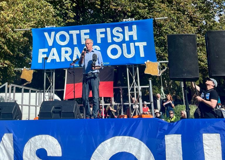 ‘Voodoo economics’: Industry rejects plan to make all salmon farms land-based
