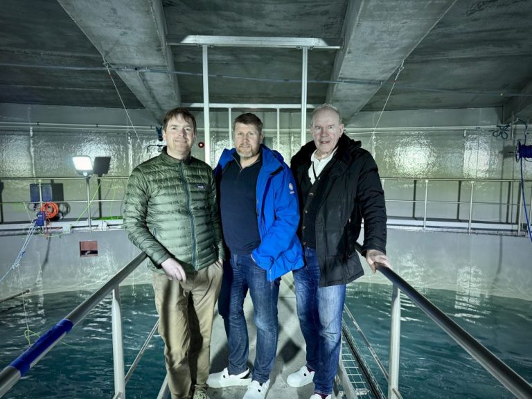 Iceland’s Laxey completes €130 million financing round for land-based salmon project