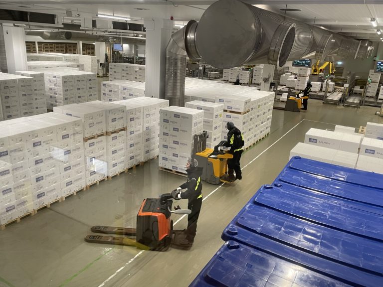 Salmon prices plunge to new low, falling below production cost for many farmers