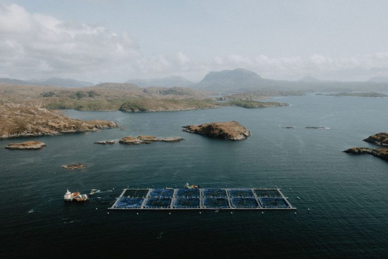 Loch Duart introduces bespoke welfare standard for small-scale salmon farming