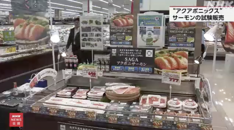 Trout and mint grown together—Japan trials new aquaculture model