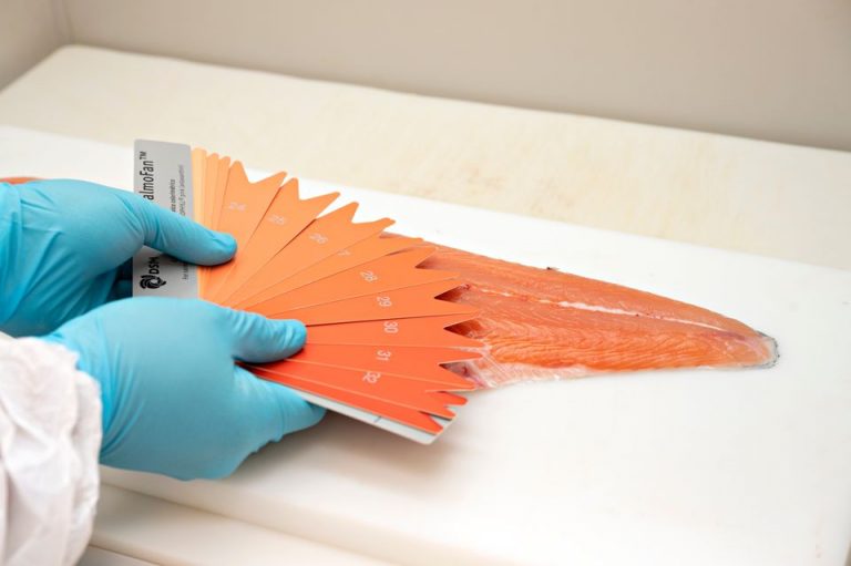 Revealed: The worrying reason your salmon is paler than it used to be