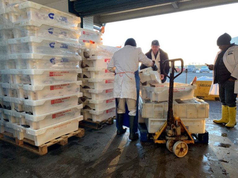 Sea bass crashes, salmon steadies: Menu confidence is shifting