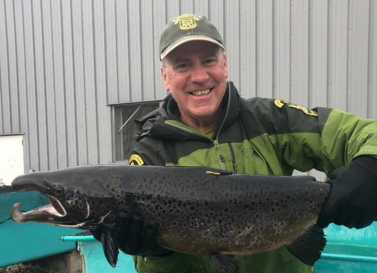 Hatchery veteran Kevin Kelsey joins land-based farmer’s senior production team