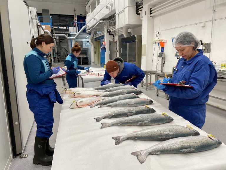 Turning emissions into omega-3: CO₂-based salmon feed shows promising results