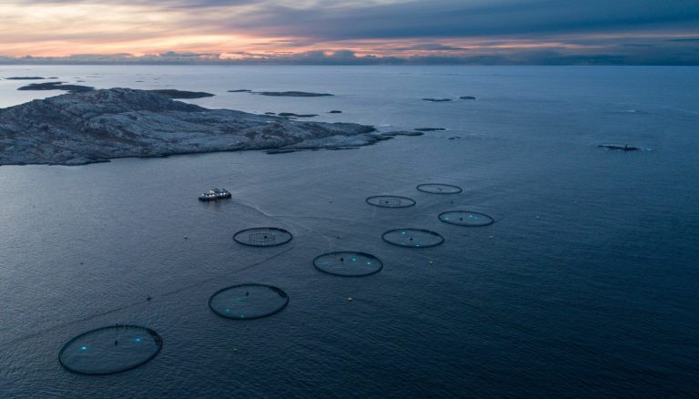Salmon producer slapped with $300,000 fine for laying power cables without permit