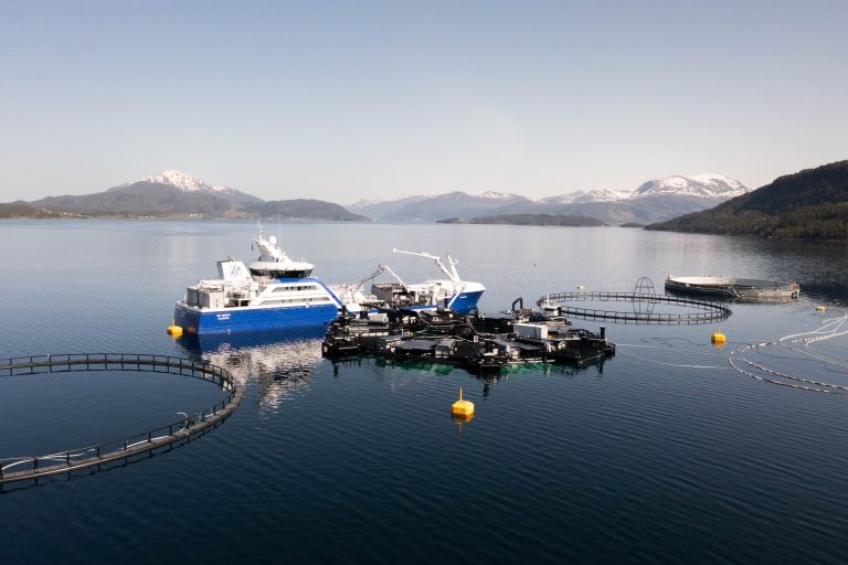 Bluegreen updates Marine Donut design after structural issue at SalMar site