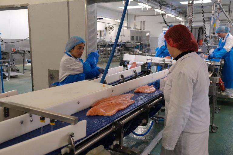 War, currency shocks, and collapsing demand — is this the perfect storm for salmon pricing?