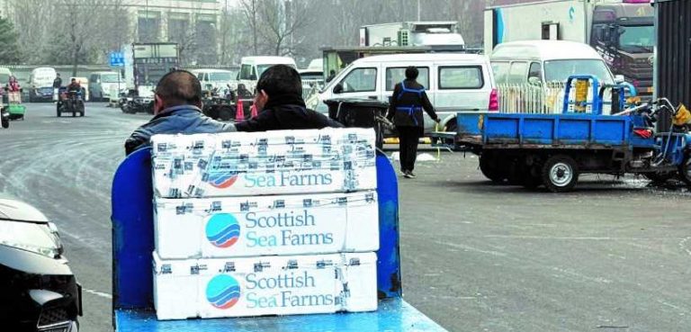 Scottish Sea Farms rethinks China strategy after on-the-ground insights