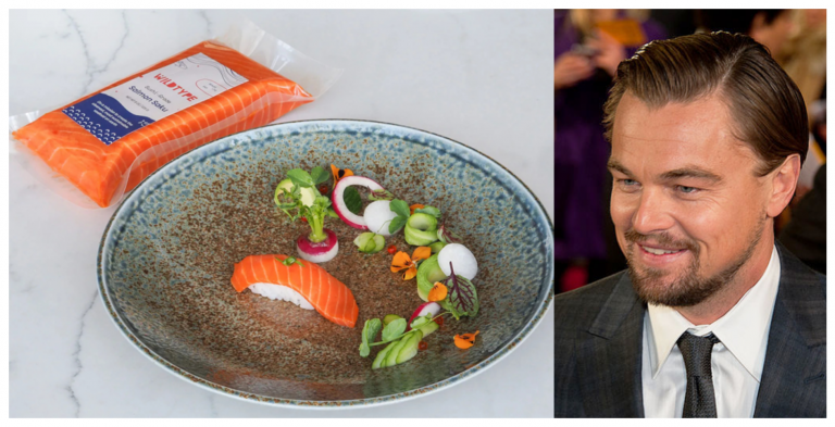 From bioreactor to plate: DiCaprio’s fishy bet pays off as US clears lab-grown salmon for sale